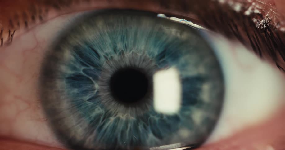 An extreme close-up macro shot of a human eye shows the pupil dilating and constricting in response to changing light