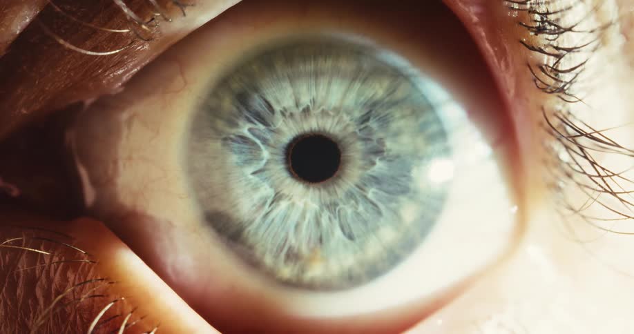 Extreme close-up macro shot of a human blue eye as the pupil dilates and constricts in response to changing light