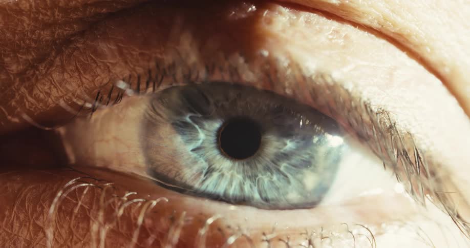 An extreme macro close-up of a human blue eye, with the pupil reacting to light and showing intricate iris details