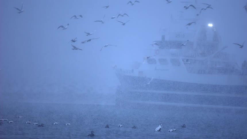 A fishing trawler is moored in an arctic harbor during a heavy blizzard, with gulls flying in the foggy, snowy air