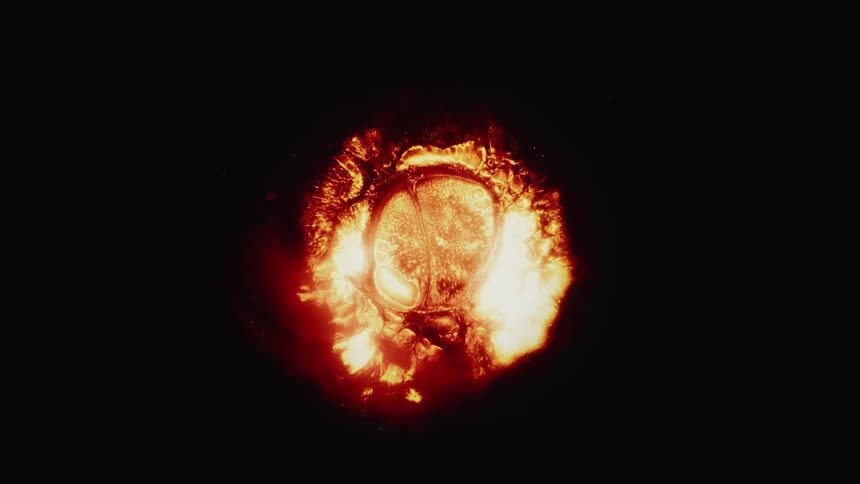 Microscopic view of a fiery, glowing biological cell slowly evolving and decaying against a dark background