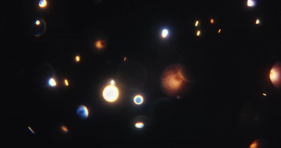 Colorful glowing orbs and particles drift and shimmer in an abstract, out-of-focus display against a black background