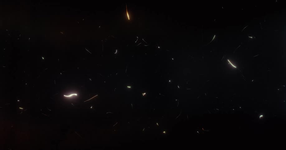 An abstract animation of colorful, glowing light streaks moving randomly against a dark background