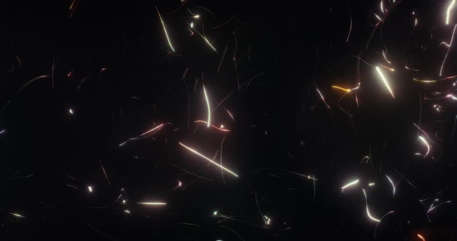 A dynamic swarm of colorful, glowing, tadpole-like light trails dance and streak across a dark background