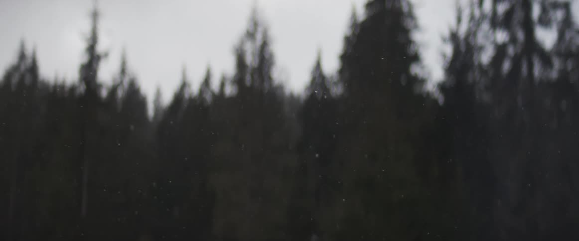 Gentle snowflakes fall in slow motion against a dark, out-of-focus evergreen forest on an overcast day