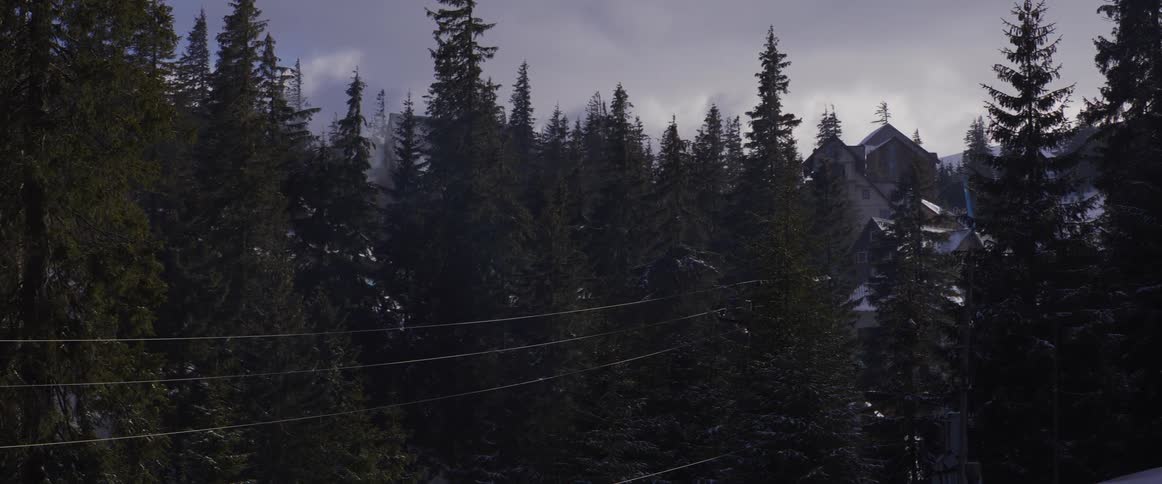 A static shot of a dense evergreen forest with snow-covered mountain lodges peeking through the trees on an overcast day