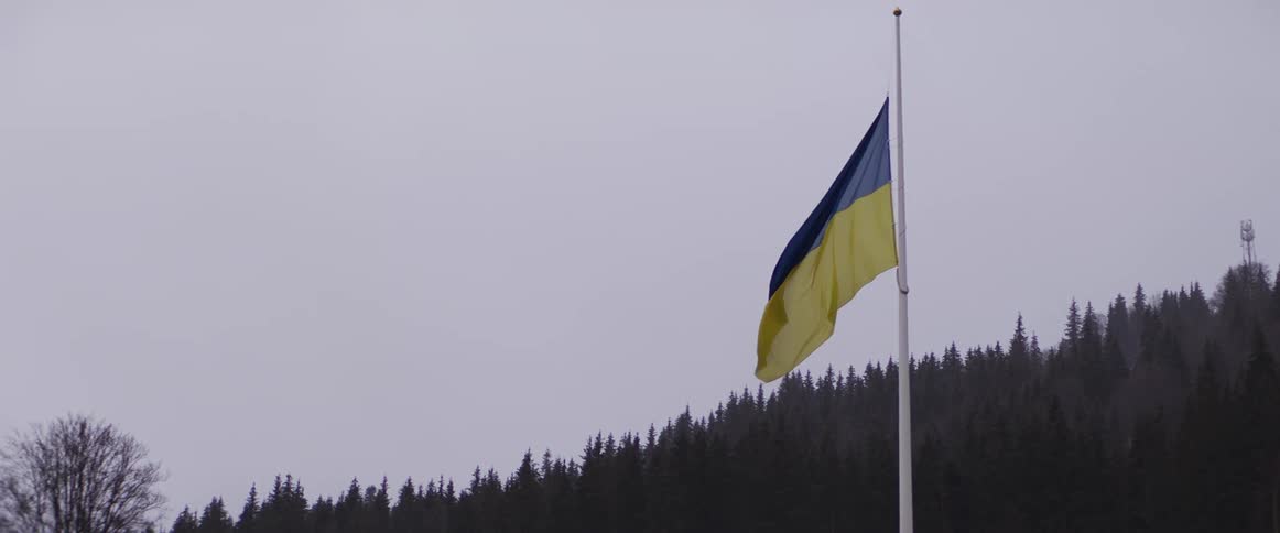 Slow motion shot of the Ukrainian flag waving at half-mast against a somber, overcast sky with a forest backdrop