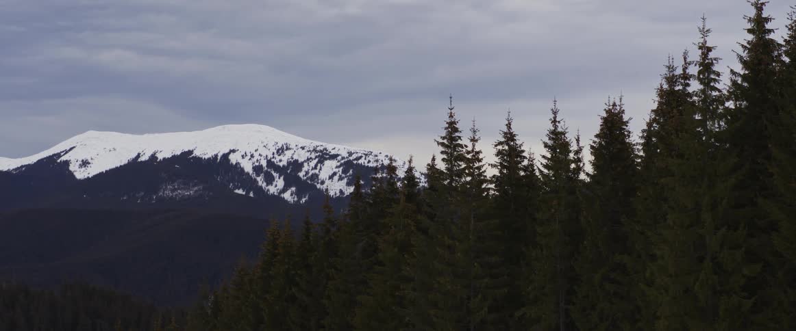 A serene view of a snow-capped mountain peak rising behind a dense evergreen forest under a cloudy sky