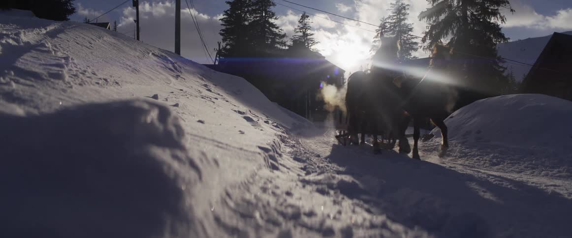 A horse-drawn sleigh travels down a snowy rural path in slow motion as the sun flares in the background