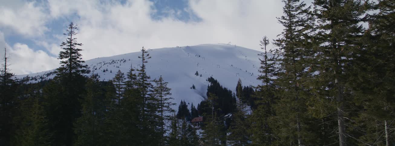 Distant view of a vast, snow-covered mountain with ski lifts, seen through a frame of evergreen forest trees