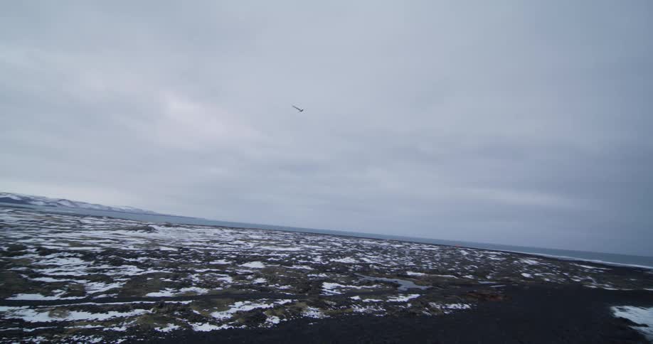 Dynamic aerial footage follows a lone bird soaring over a vast, snow-covered volcanic coastline on an overcast day