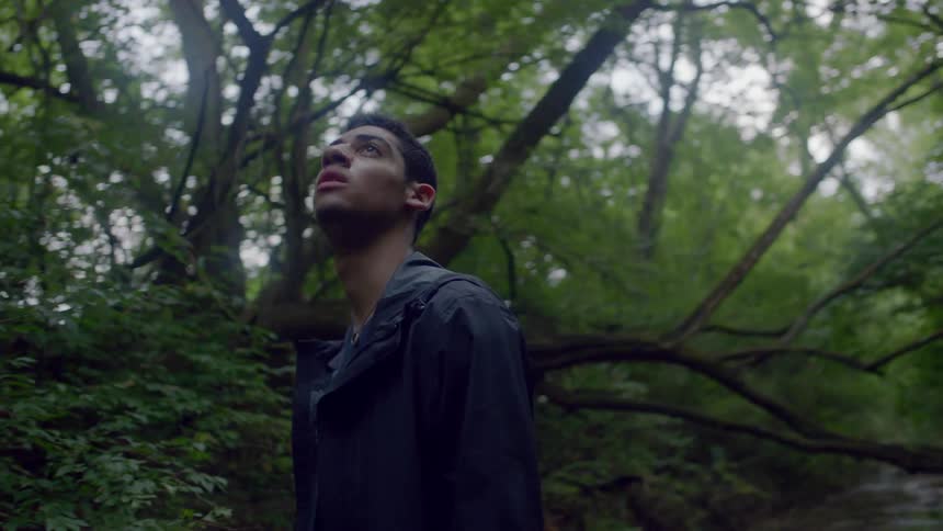 A man looks around in the forest