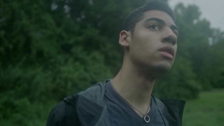 Man standing at the edge of a woods looks upwards