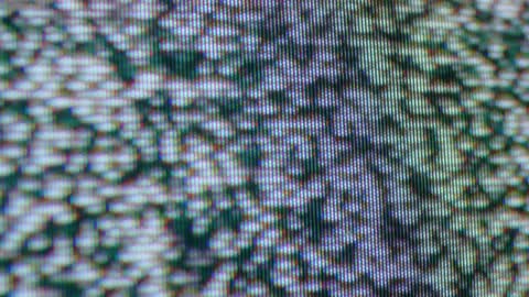 Max Kütz featured clip