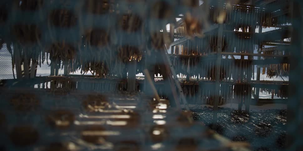 Fish hangs on wooden drying racks in the sun, seen through a blue mesh fence in an artistic slow-motion shot