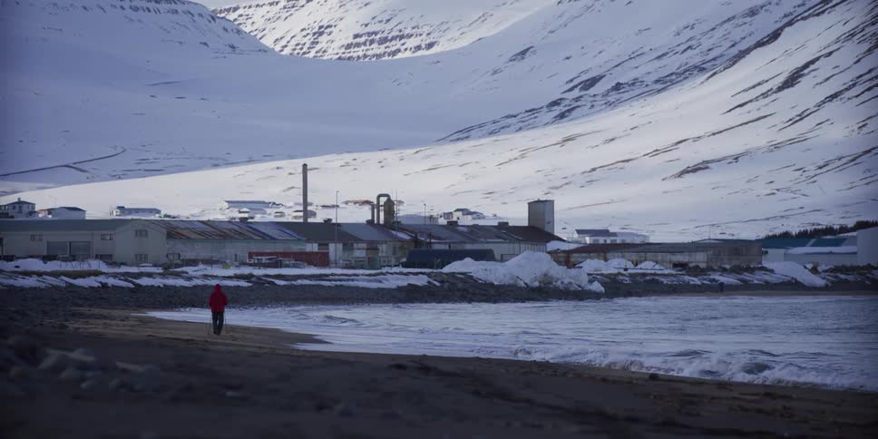 A person in a red jacket walks along a desolate, snowy beach next to the ocean with a small village in the background