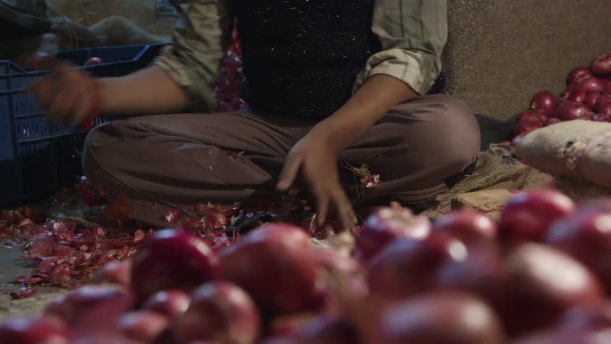 A person sorting food into piles