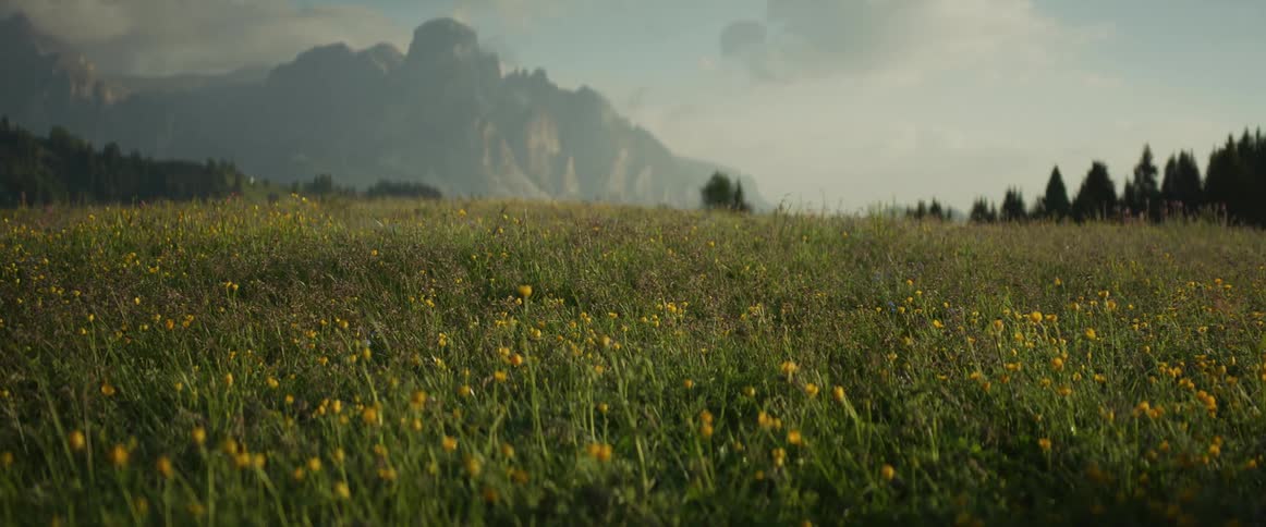 A serene meadow of yellow wildflowers gently sways in the breeze with a hazy mountain range in the distance