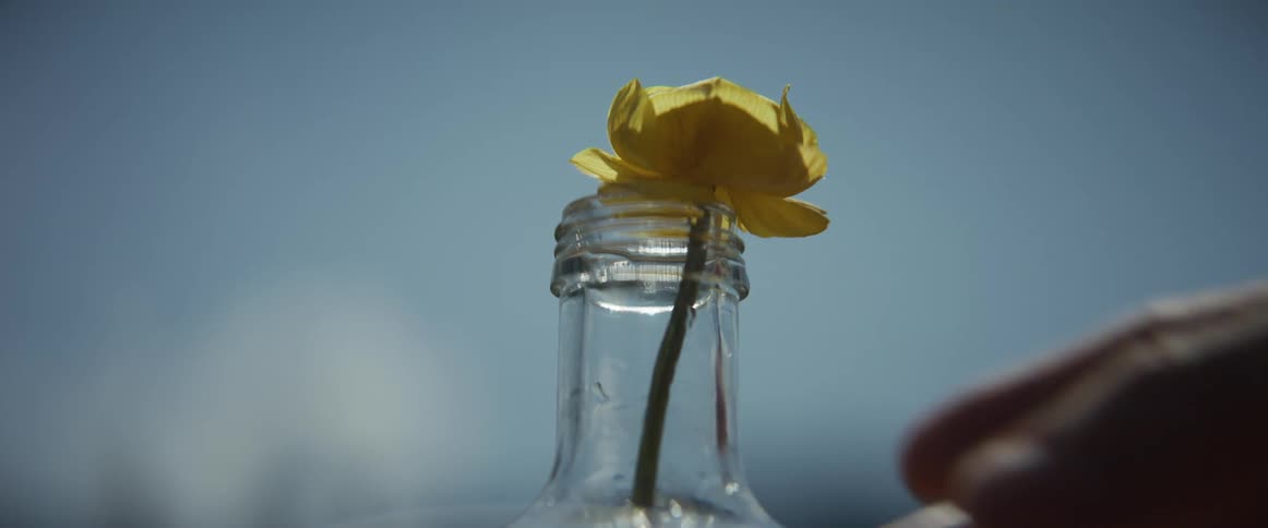 A single yellow flower is gently placed into a clear glass bottle, creating a simple and delicate still life