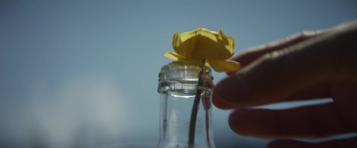 A hand gently places a single yellow buttercup flower into a clear glass bottle against a sunny blue sky