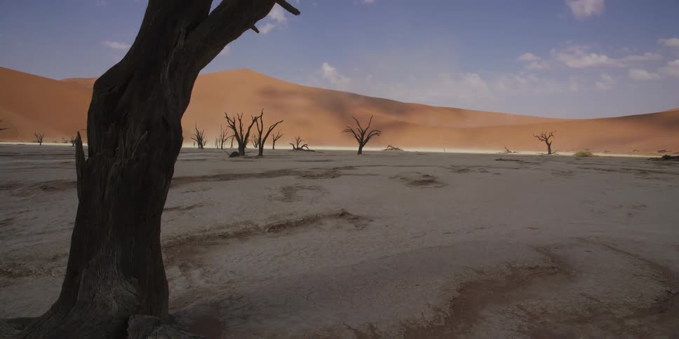 Cinematic reveal of the iconic dead acacia trees in the stark white clay pan of Deadvlei, Namibia, with giant orange sand dunes in the background