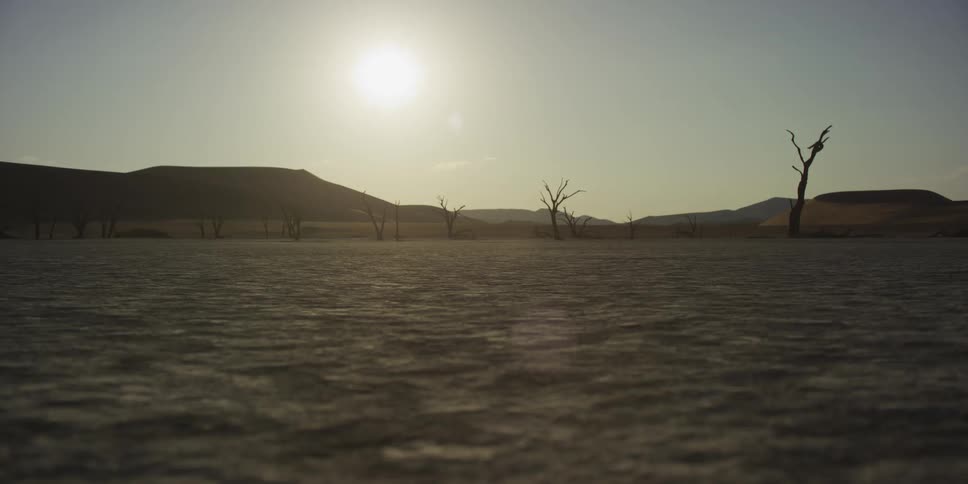 A low-angle view of a desolate, cracked desert landscape with skeletal trees silhouetted by the blazing sun