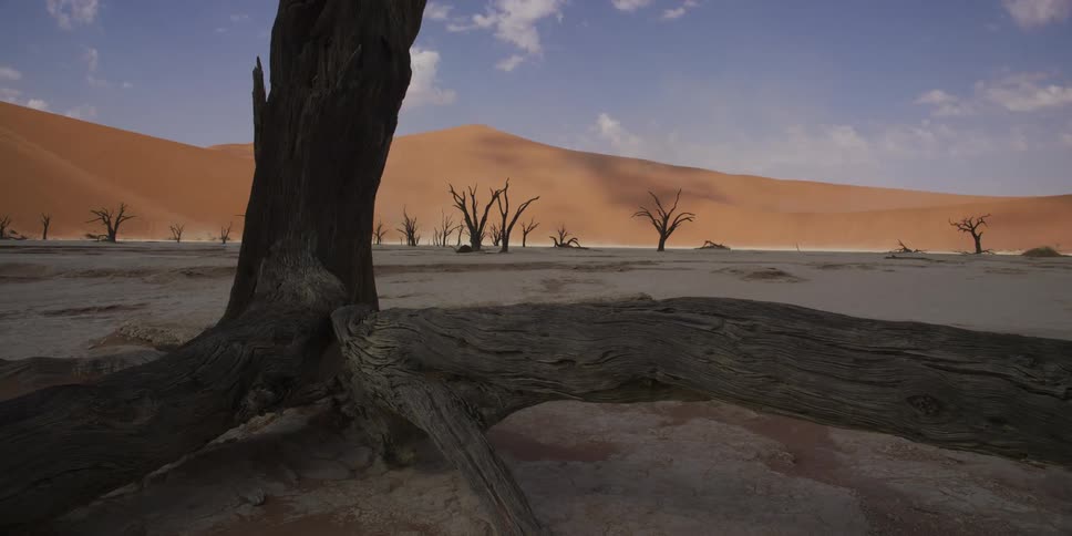 A low-angle shot reveals the gnarled roots of a dead tree in Namibia's Deadvlei, a stark white clay pan surrounded by giant red sand dunes