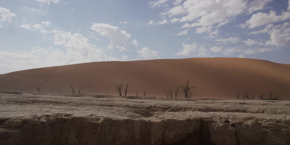A slow cinematic slide reveals the surreal, desolate landscape of a cracked desert pan with ancient dead trees and a giant orange sand dune