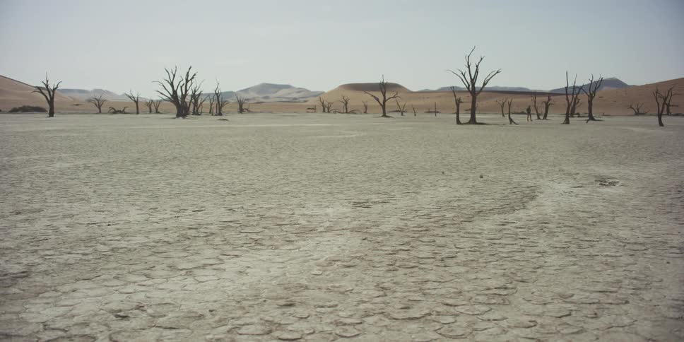 A desolate, sun-bleached landscape of a cracked clay pan and skeletal dead trees in Deadvlei, Namibia, with vast sand dunes in the background