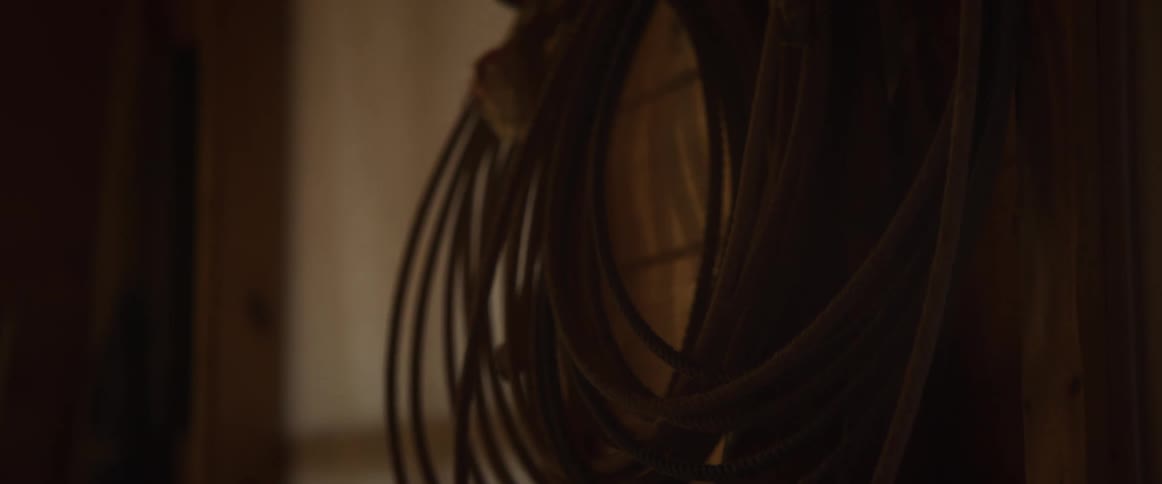 A weathered lasso hangs coiled in the warm, dim light of a rustic wooden barn