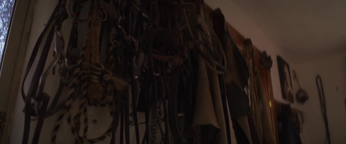 A moody low-angle shot of weathered leather horse bridles and bits hanging in a dark tack room