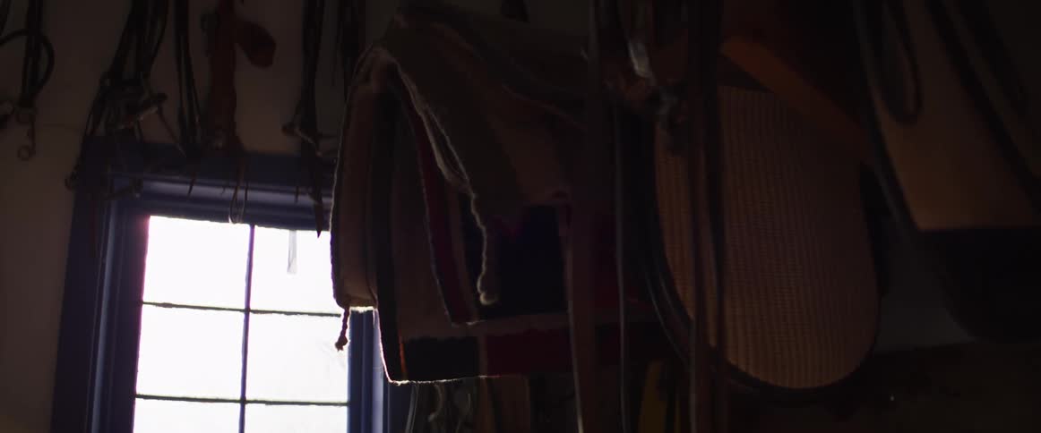 A horse saddle and blanket hang in a dark, rustic tack room, silhouetted by the bright light from a window