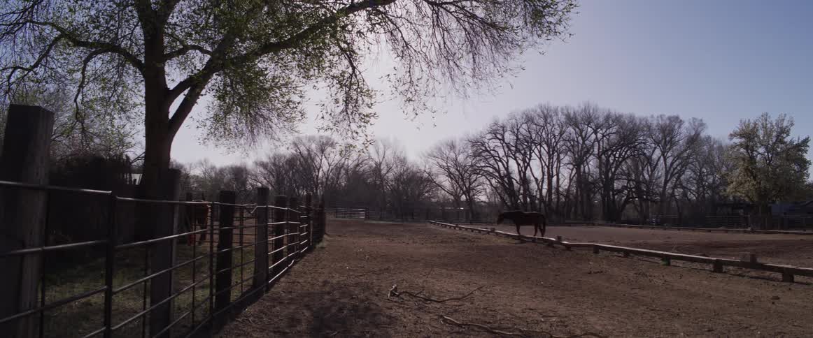A brown horse slowly walks around a dusty outdoor corral on a rural farm on a sunny day