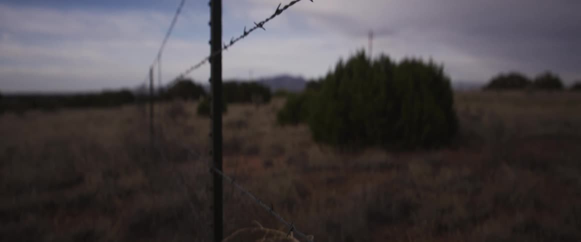 A slow rack focus shot along a barbed wire fence reveals a tangled tumbleweed in a desolate field