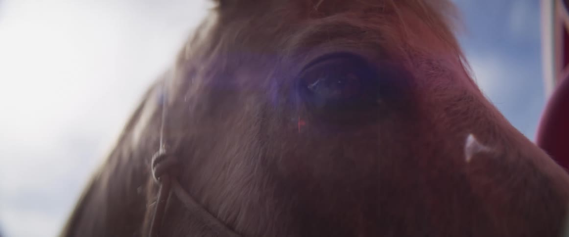 An extreme close-up shot of a brown horse's eye with a lens flare against a bright sky