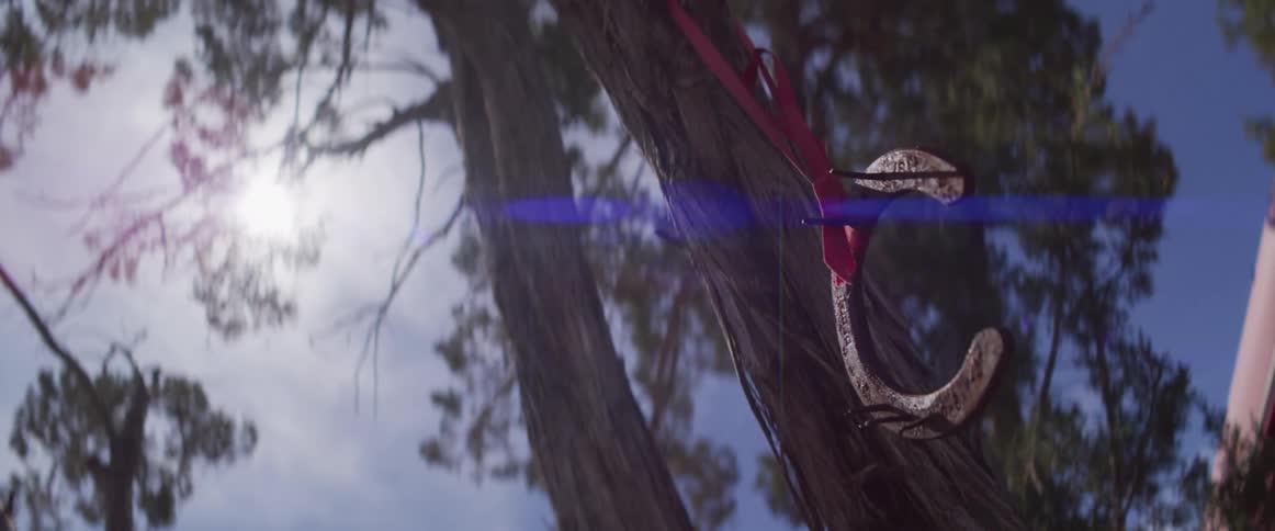 A rustic horseshoe hangs by a red ribbon from a tree trunk with the sun flaring in the background