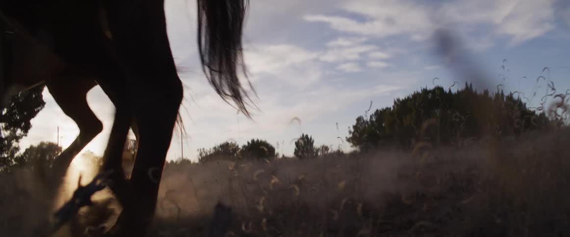 Cinematic slow motion shot of a silhouetted horse walking through a grassy field, kicking up dust against the setting sun