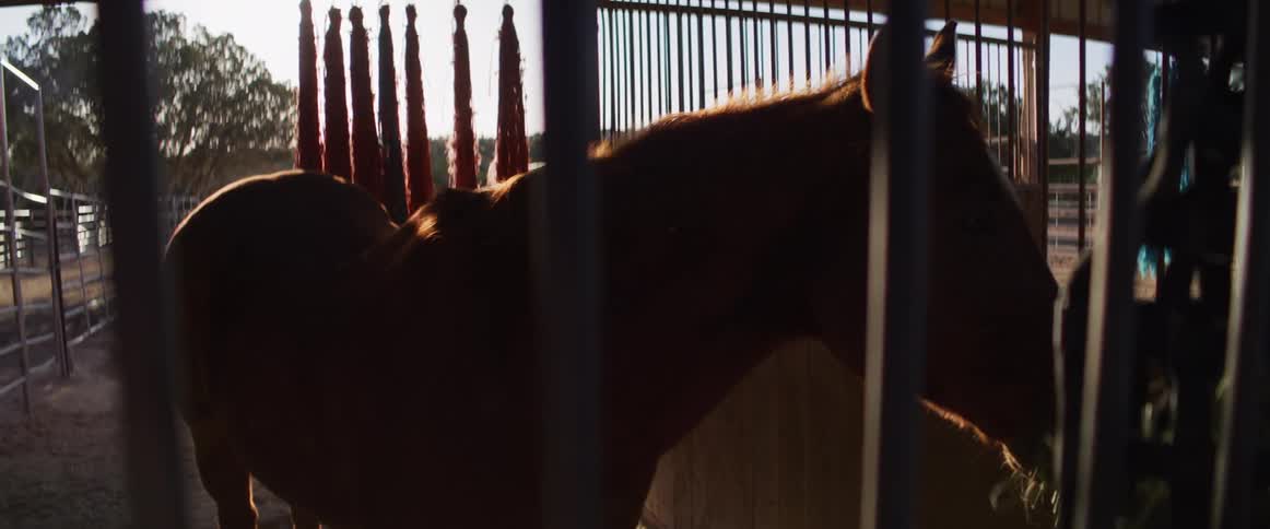 A backlit horse eats hay in a stable stall during the golden hour