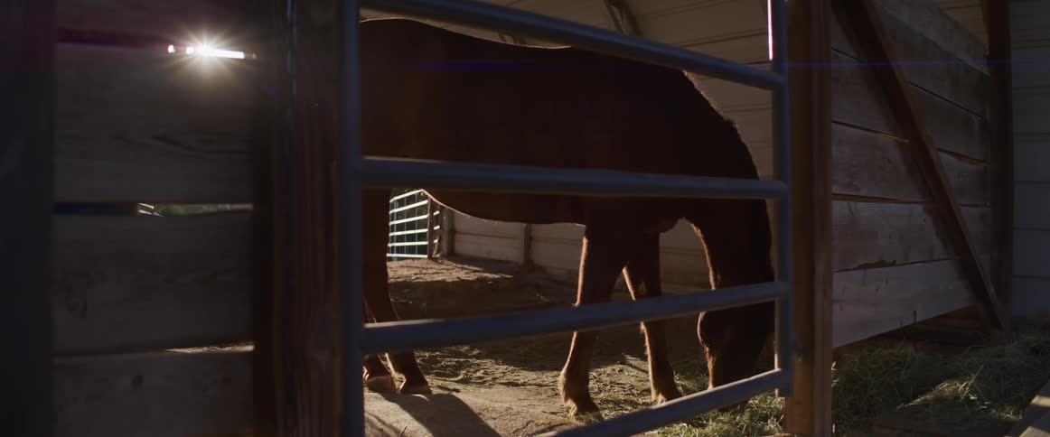A silhouetted horse eats hay from the ground in a rustic barn with the sun flaring in the background