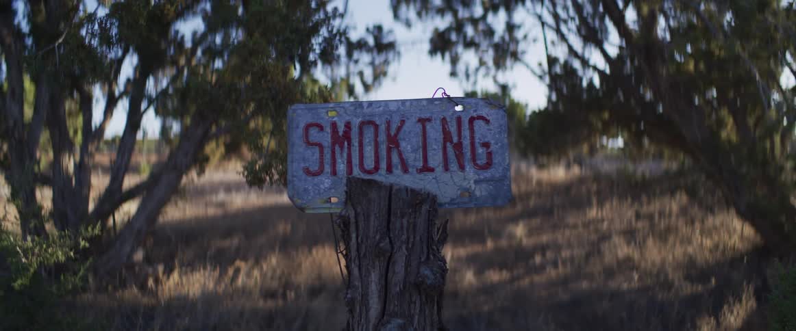 A quirky 'SMOKING' sign made from a license plate is displayed on a tree stump in a field at golden hour