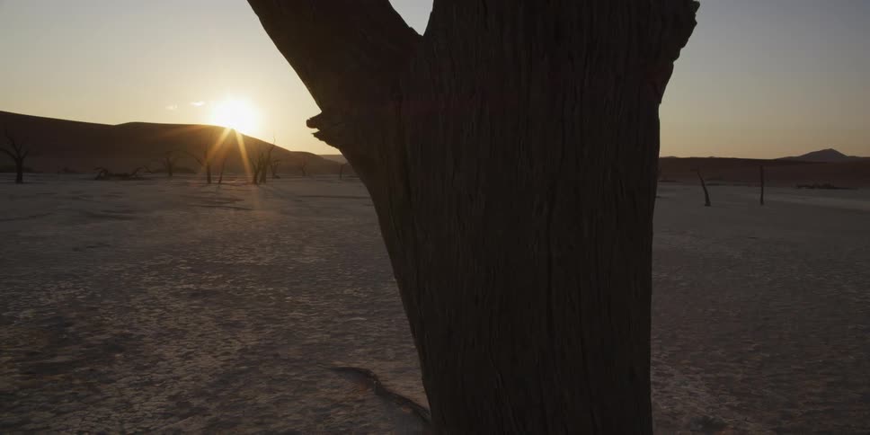 A slow reveal from behind a silhouetted dead tree shows the sun rising over the desolate, cracked earth of Deadvlei, Namibia