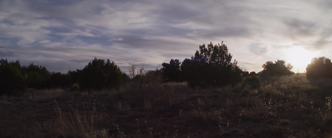 A quiet, arid landscape with silhouetted trees and brush stands peacefully against a cloudy sky at sunset