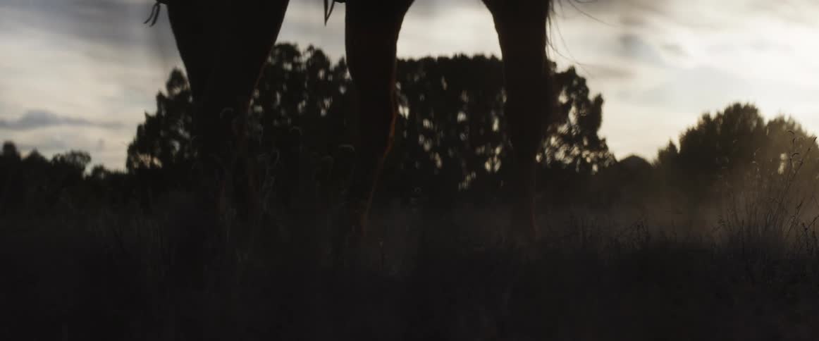 Dramatic slow motion close up of a horse's legs silhouetted against the setting sun in a dusty field
