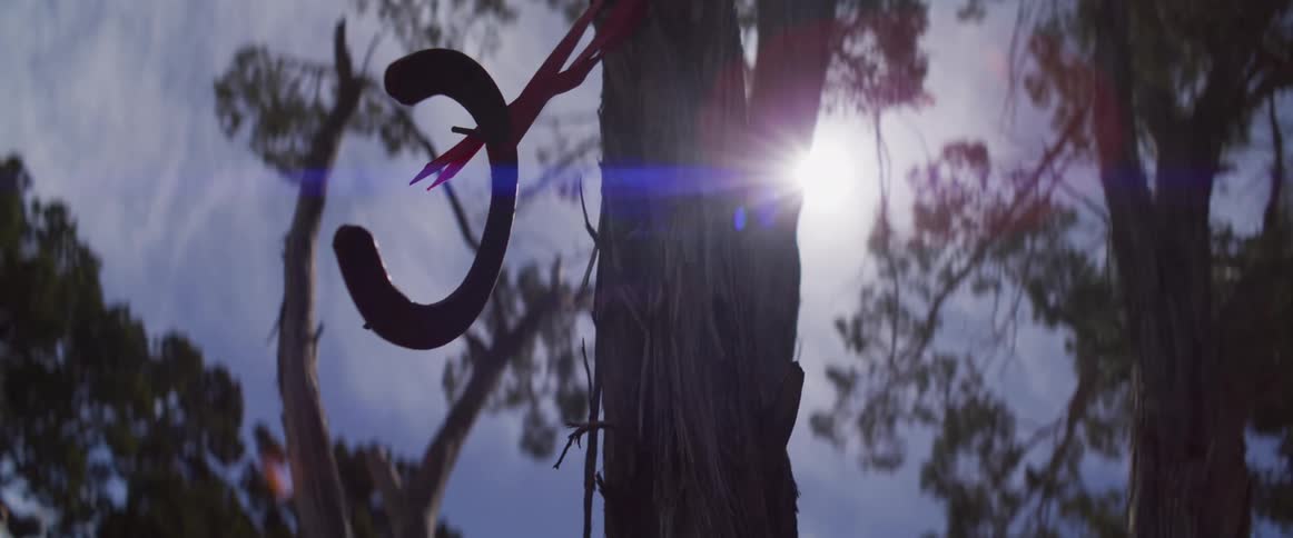 A silhouetted horseshoe hangs from a red ribbon on a tree branch with the sun flaring in the background