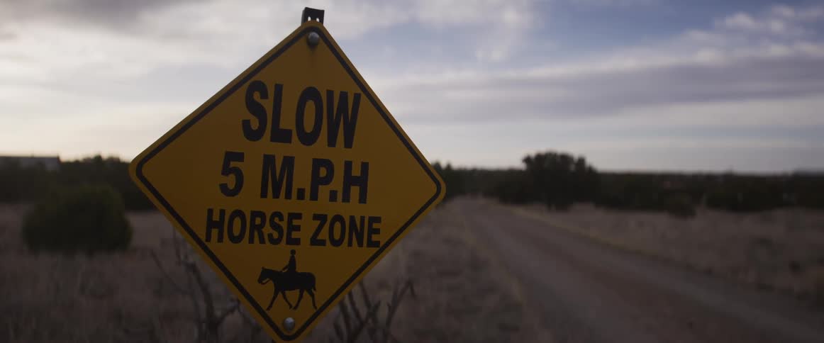 A 'Slow 5 M.P.H Horse Zone' sign stands beside a long, empty rural dirt road under a cloudy sky