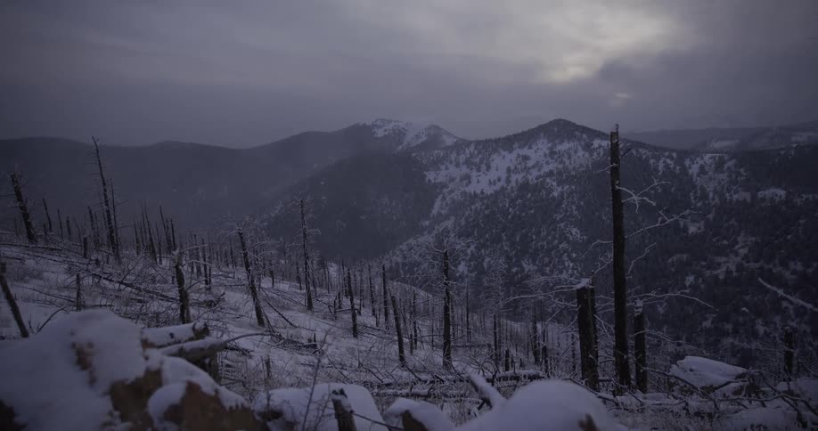A slow dolly shot pushes through a snow-covered, burnt forest overlooking a vast mountain range on a cold, overcast day