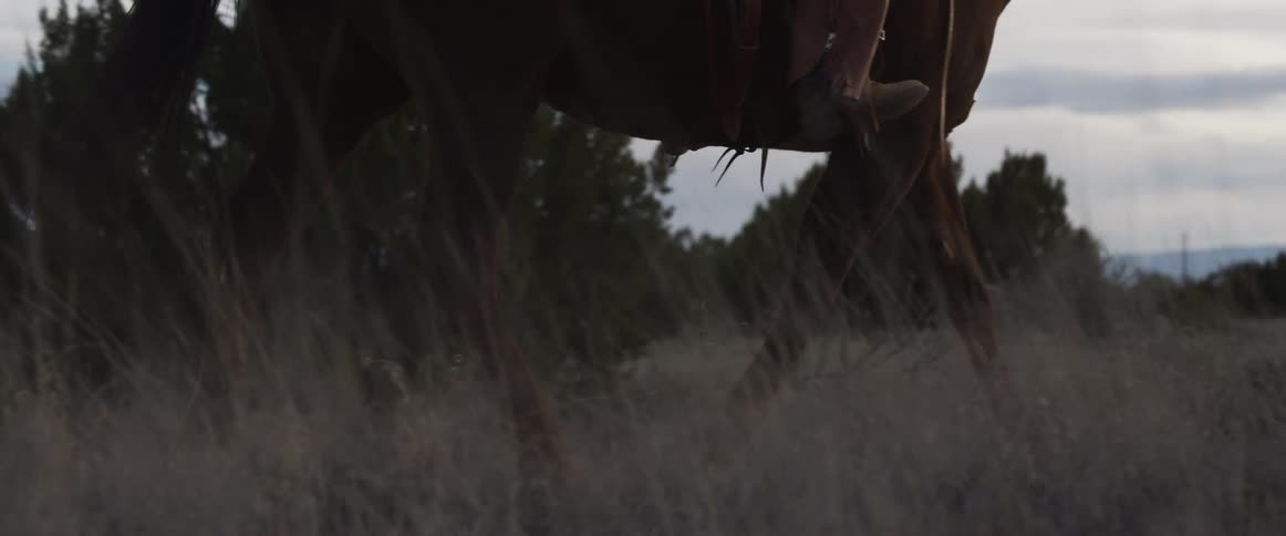 Slow motion close up of a majestic horse galloping through a dusty field at dusk with a rider in the saddle
