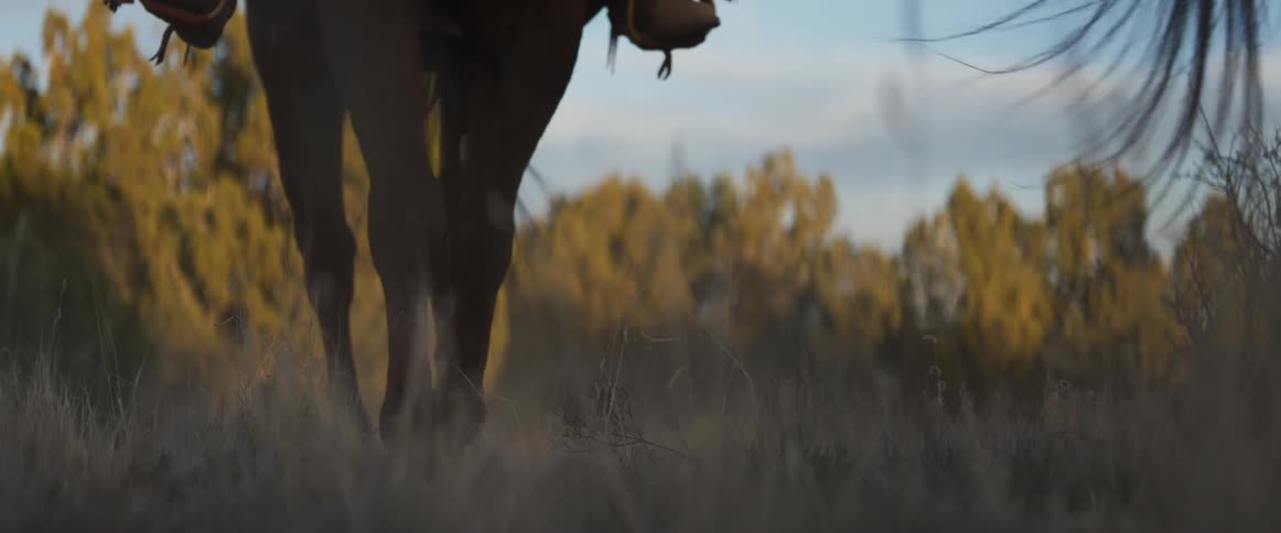 A cinematic slow-motion close-up of two cowboys riding their horses through a dusty field during a golden hour sunset