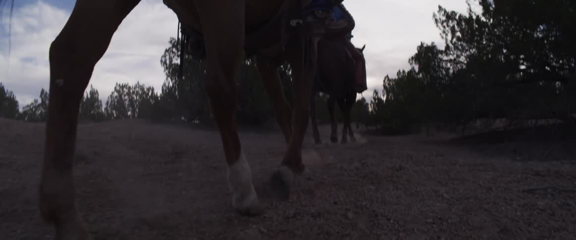 A dramatic low-angle, slow-motion shot shows the powerful legs of horses walking along a dusty trail at twilight