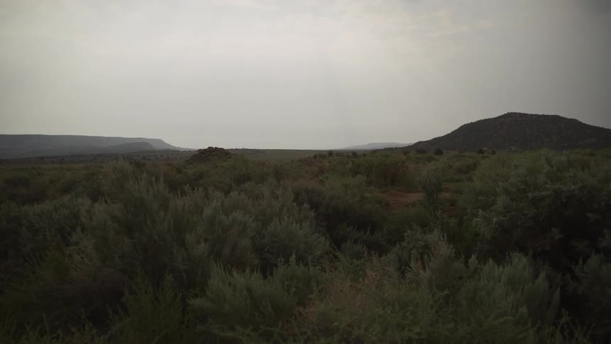 A still and desolate desert landscape filled with sagebrush under a hazy, overcast sky